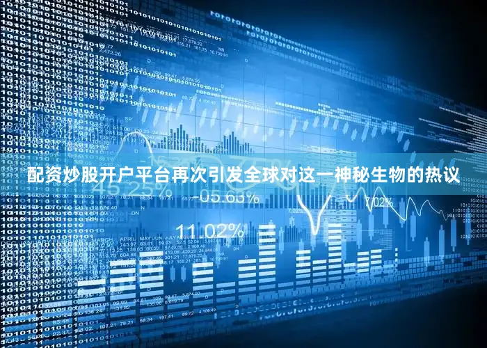 配资炒股开户平台再次引发全球对这一神秘生物的热议