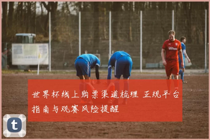 世界杯线上购票渠道梳理 正规平台指南与观赛风险提醒