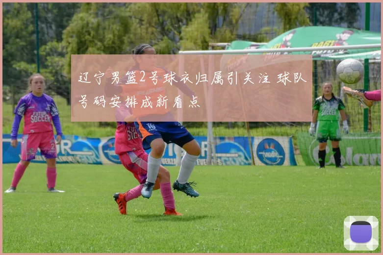 辽宁男篮2号球衣归属引关注 球队号码安排成新看点